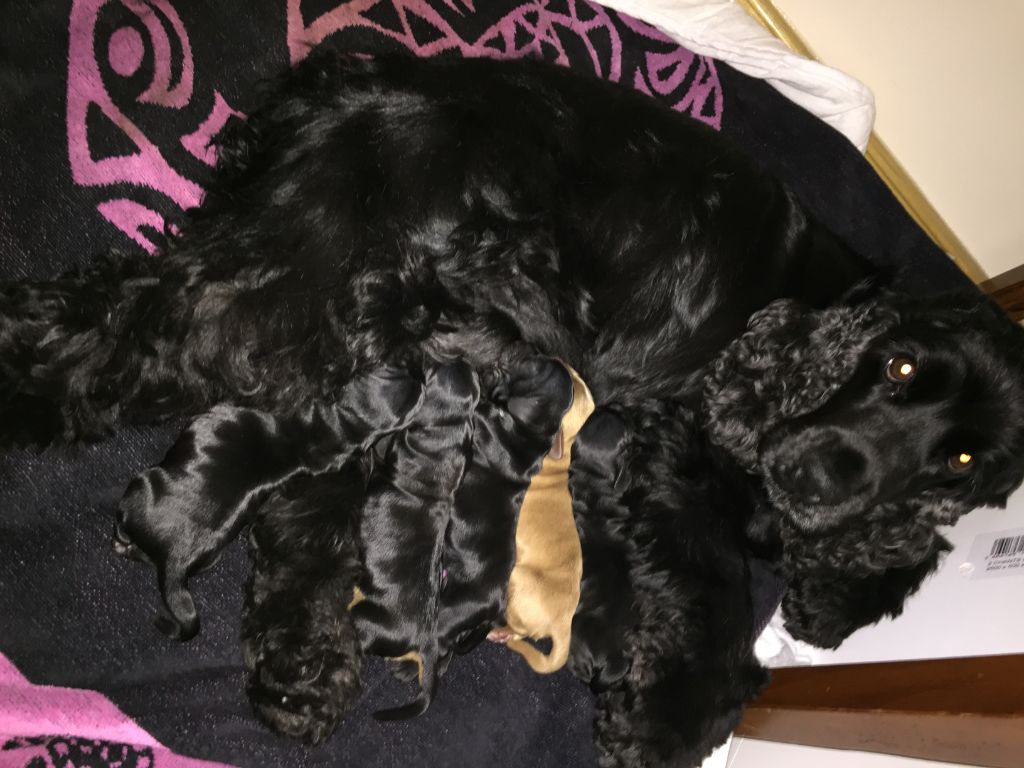 naissance